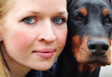 Pielęgnacja zwierząt i animaloterapia w Lublinie