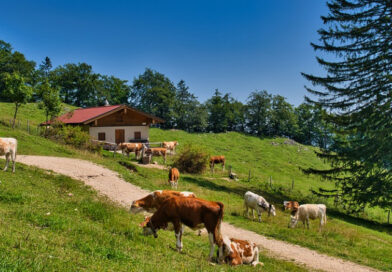 Aktywność fizyczna i agroturystyka kwalifikowana w Lublinie