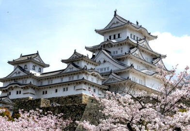 Studia historyczne w Opolu