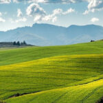 Rolnictwo – Uniwersytet Przyrodniczy w Poznaniu