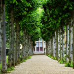 Sztuka ogrodowa – Uniwersytet Rolniczy w Krakowie