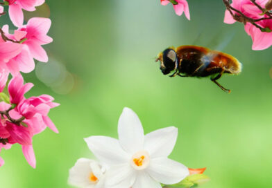 Studia biologiczne i biotechnologiczne w Częstochowie
