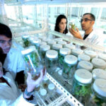 Biotechnologia w Zielonej Górze
