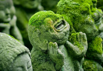 Historia w Zielonej Górze