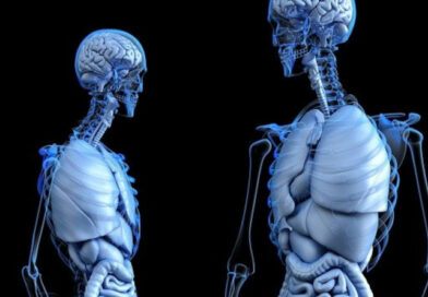 Kierunek lekarski w Łodzi