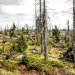 Ochrona środowiska – Uniwersytet Przyrodniczy w Poznaniu