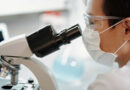 Biologia we Wrocławiu