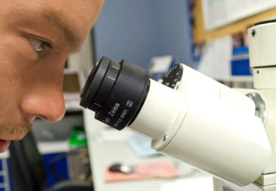 Biotechnologia w Łodzi