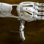 Inżynieria biomedyczna w Łodzi