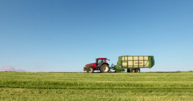 Logistyka w sektorze rolno-spożywczym – logistyczny kierunek studiów