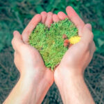 Ochrona środowiska – Uniwersytet Jana Kochanowskiego w Kielcach