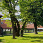 Ochrona środowiska – Uniwersytet Rolniczy w Krakowie