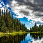 Agroleśnictwo – poznaj kierunek studiów!