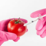 Biotechnologia w Krakowie