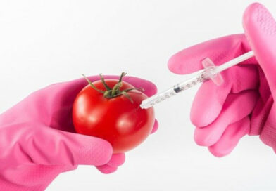 Biotechnologia w Krakowie