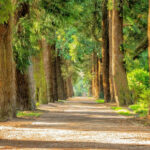 Zarządzanie środowiskiem – poznaj kierunek studiów!