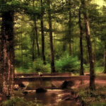 Inżynieria środowiska w Kielcach