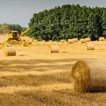 Rolnictwo w Krakowie