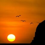 Filologia arabska w Poznaniu