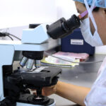 Agrobioinżynieria – poznaj kierunek studiów!