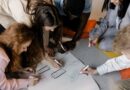 Kierunki ekonomiczne na uczelniach niepaństwowych w Bydgoszczy