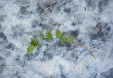 Informatyka w ochronie środowiska w Łodzi