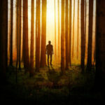 Gospodarka w ekosystemach rolnych i leśnych – poznaj kierunek studiów!