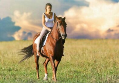 Hipologia i jeździectwo w Lublinie