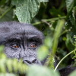 Ekoturystyka w Krakowie