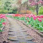 Architektura krajobrazu w Rzeszowie