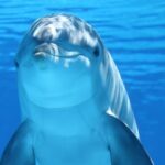 Oceanografia w Gdańsku