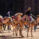 Turystyka i rekreacja – Akademia Humanistyczno-Ekonomiczna w Łodzi