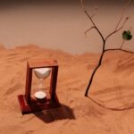 Filozofia, polityka, gospodarka – Uniwersytet w Białymstoku