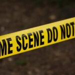 Criminology and Criminal Justice w Gdańsku