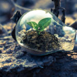 Ekostrategie w Poznaniu