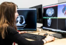 Uniwersytet Jagielloński kierunki studiów 2027/28