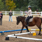 Kierunki studiów 2026 – Uniwersytet Rolniczy w Krakowie