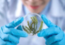 Akademia Śląska – biologia – bezpłatny kurs maturalny
