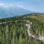 Turystyka przyrodnicza i edukacja leśna – SGGW w Warszawie