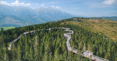 Turystyka przyrodnicza i edukacja leśna – SGGW w Warszawie