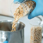 Analiza żywności i żywienie człowieka w Suwałkach