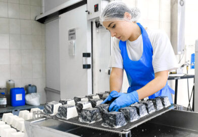 Bezpieczeństwo i produkcja żywności w Przemyślu