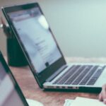 Wydział Ekonomii, Finansów i Zarządzania Uniwersytetu Szczecińskiego, kierunki studiów , rekrutacja 2026