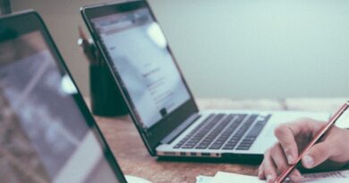 Wydział Ekonomii, Finansów i Zarządzania Uniwersytetu Szczecińskiego, kierunki studiów , rekrutacja 2026