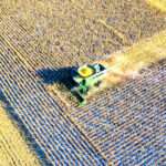 Rolnictwo w Kielcach