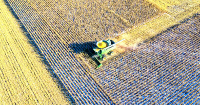 Rolnictwo w Kielcach