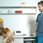 Weterynaria w Bydgoszczy