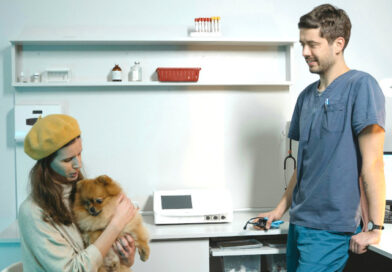 Weterynaria w Bydgoszczy