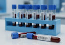 Biomedycyna i środowisko w Lublinie