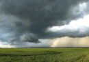Meteorologia i hydrologia w Warszawie